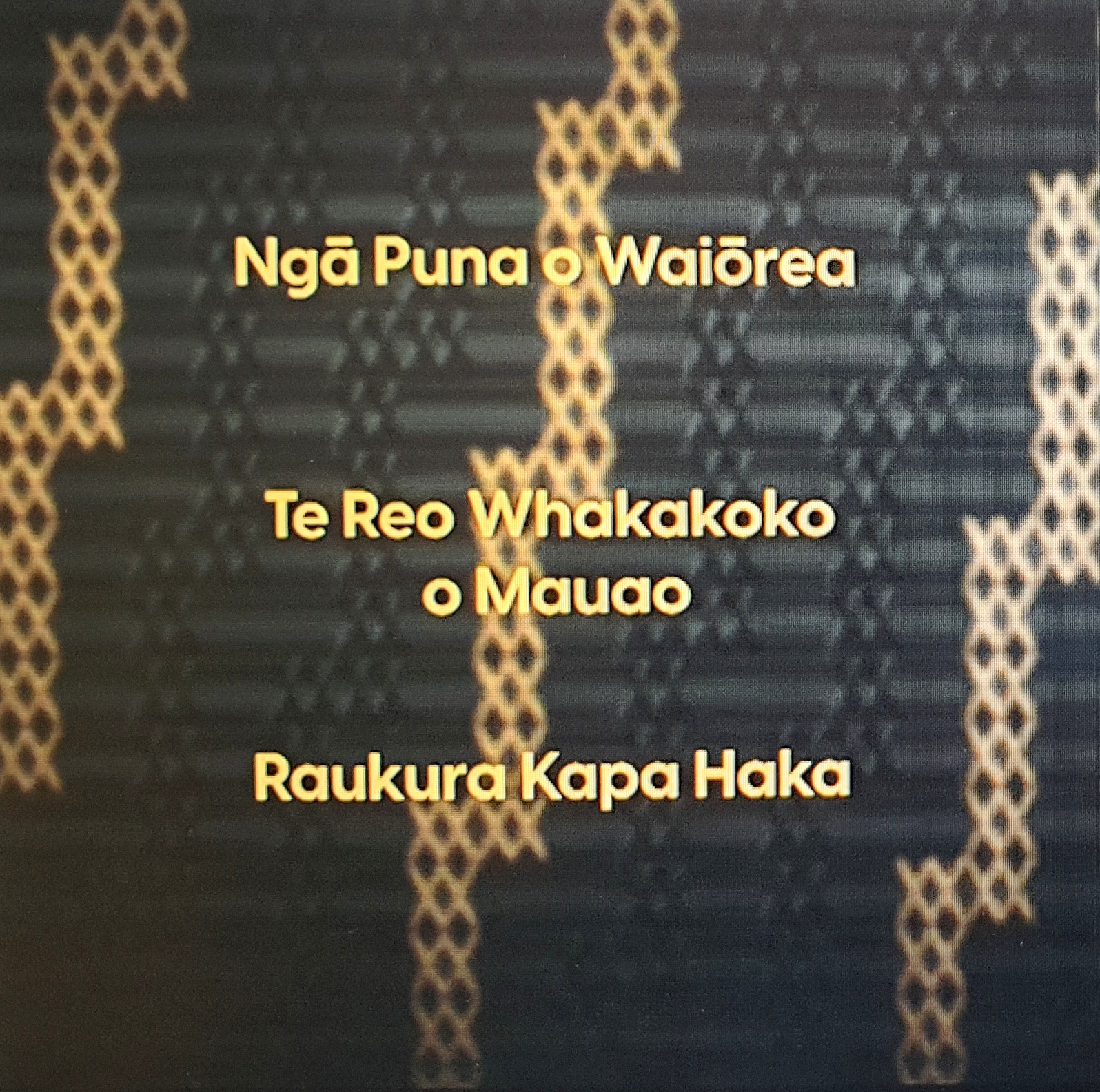 Kapa Haka Nationals 2022 Competition – Congratulations Waiōrea ...