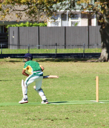 WSC Junior Cricket Boys (starting in Term 4) - new team members welcome!